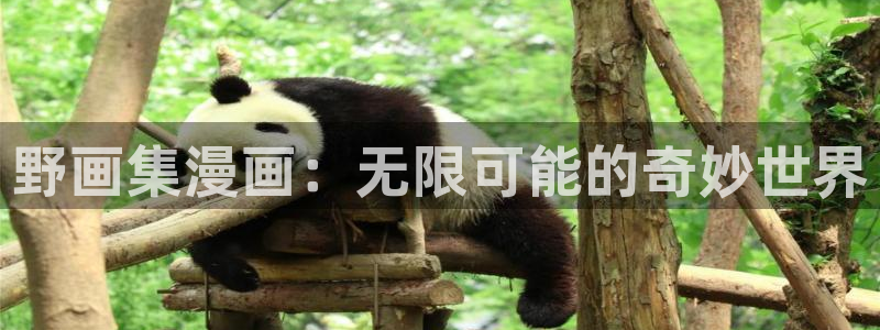 羞羞色漫在线观：野画集漫画：无限可能的奇妙世界